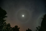 other halo