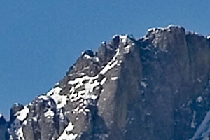 enlarged crop