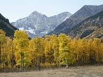 Huerfano Basin, yellow aspens